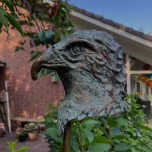 Lees meer over het artikel Louise Verkleij Backhaus